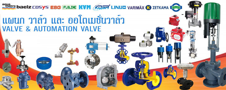 วาล์วและคอนโทรลวาล์ว สตรีมแทรป